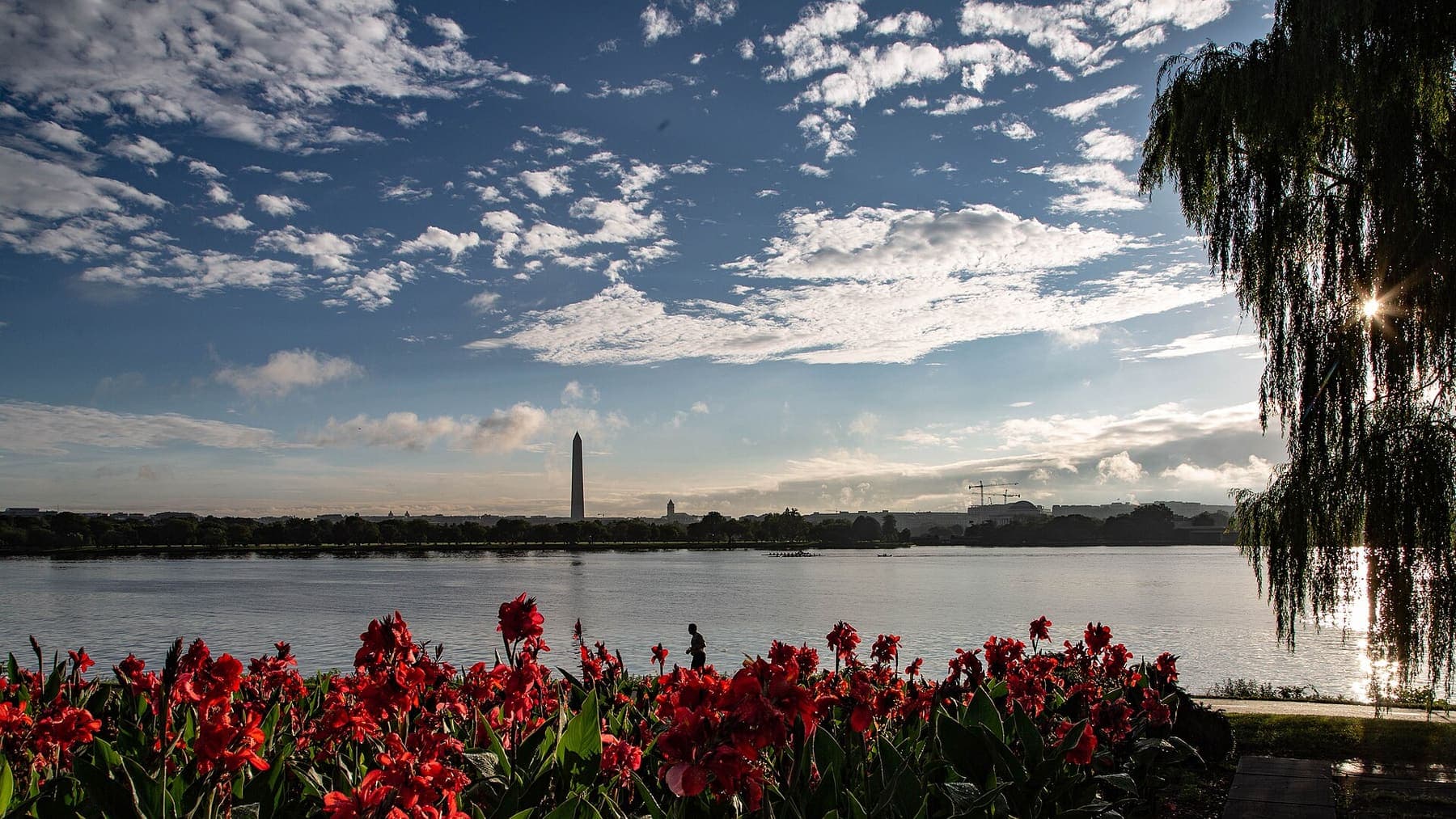 D.C.: The Mount Vernon Trail is an 18-mile paved multi-use trail that stretches from George Washington's Mount Vernon Estate to (56fcdb61-d84c-4d0a-b3ed-03e088315407)